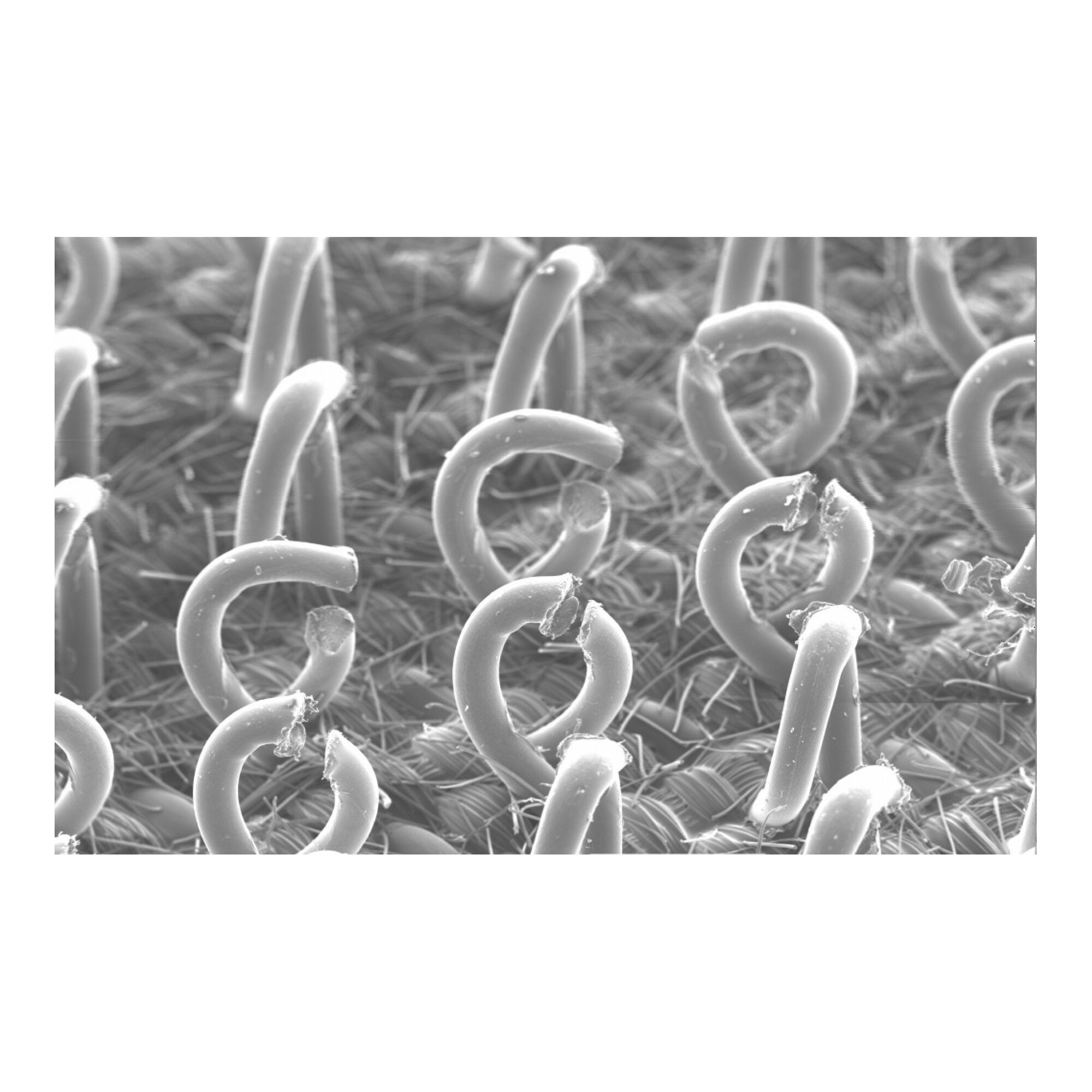 Scotch-Brite Conformable Applicator Cleaner Head 261, Curved Head
